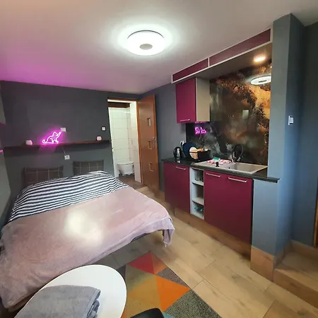 24h Mini Na Kod Dostepu & Free Parking & No Keys * 格丁尼亚